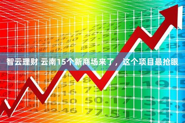 智云理财 云南15个新商场来了，这个项目最抢眼